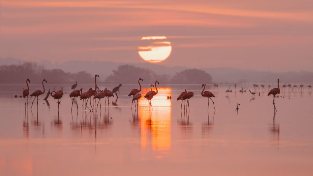 voyagiste genève agence de voyages charter voyages