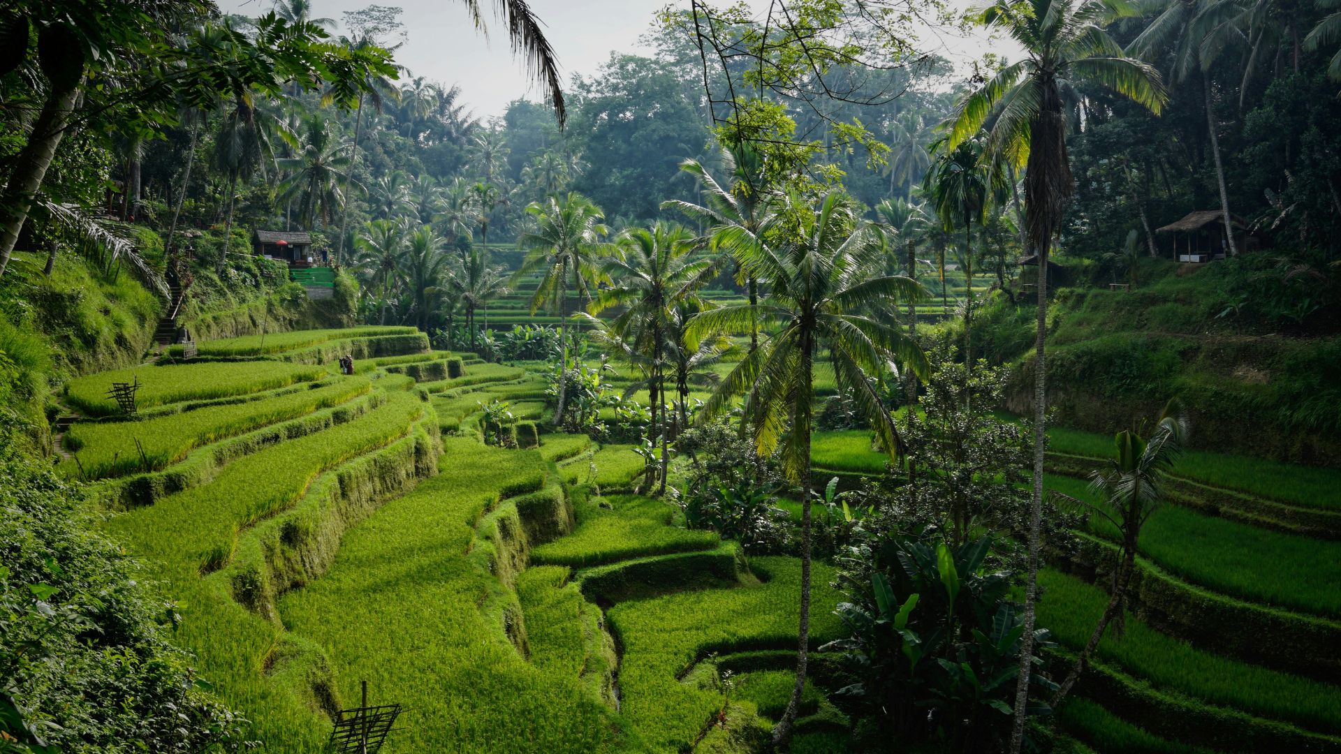 Indonesie voyage Charter Voyages Agence de voyage Genève