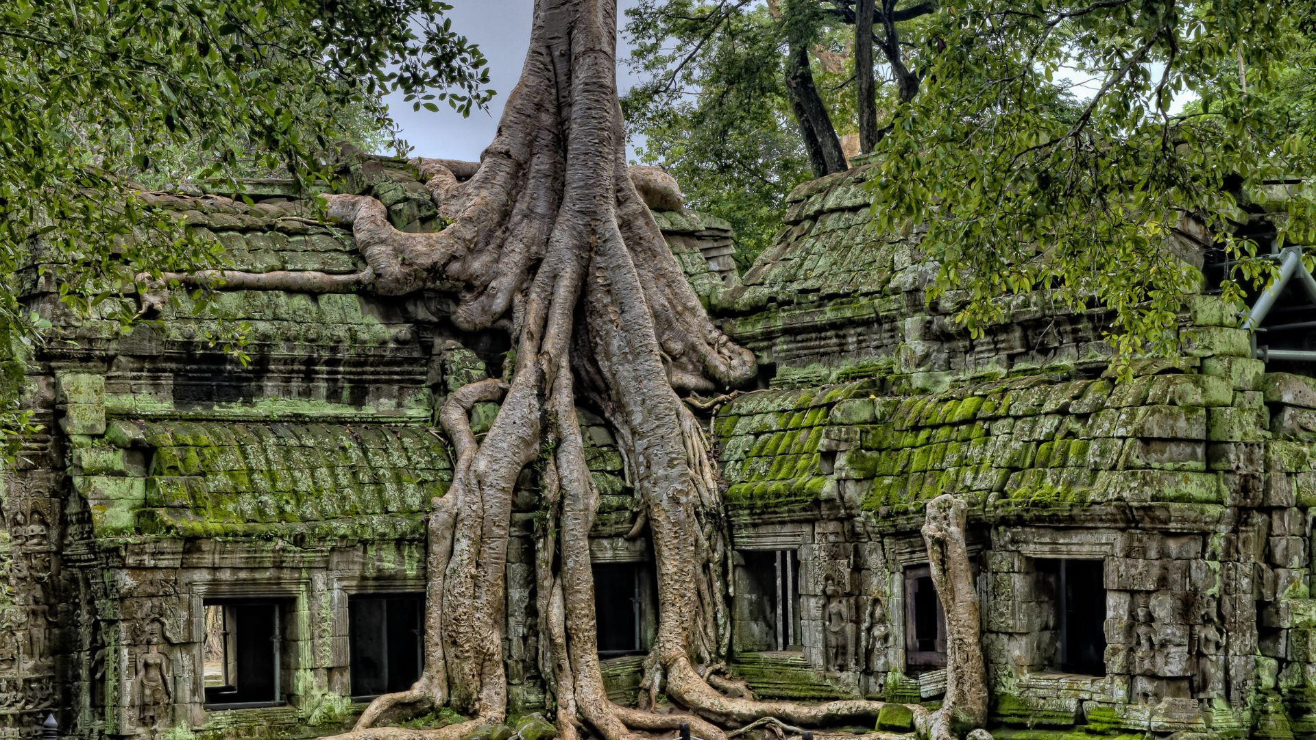 Cambodge Charter Voyages