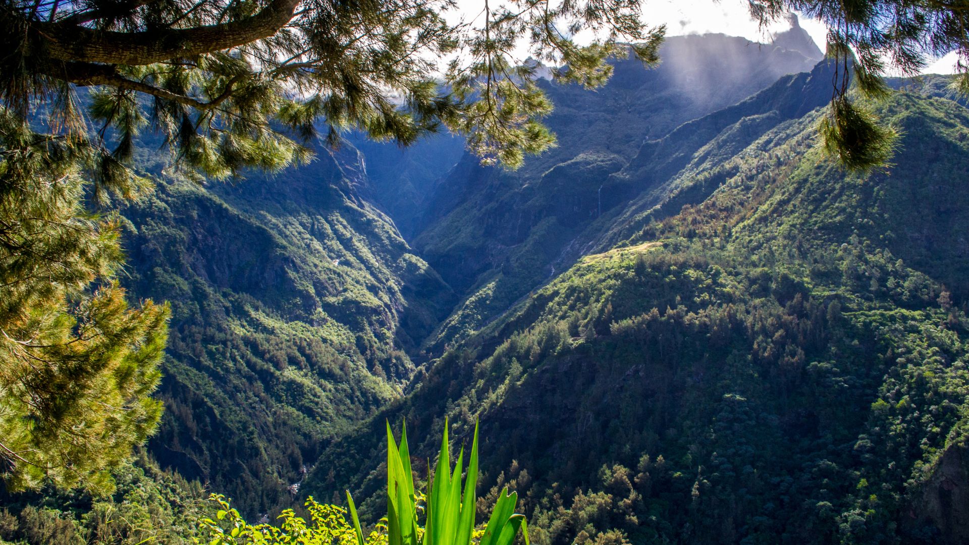 Île de la Réunion en autotour